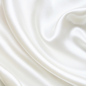 Vanilla - Lustrous Silk Pillowcase - Queen